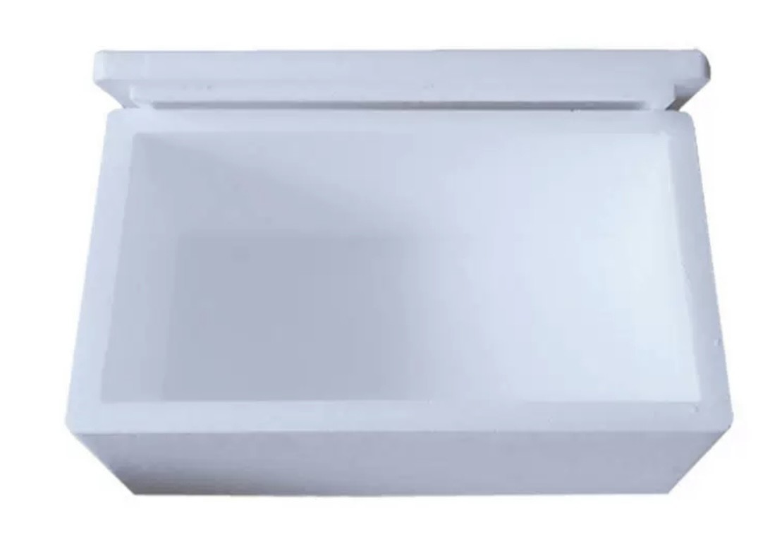 Heat preservation cold chain transport foam box