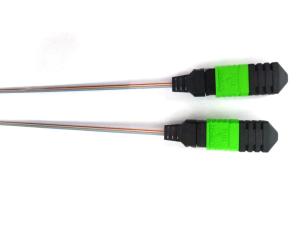China Elite Loss Fiber Optic Ribbon MPO MTP Senko SM Pigtail wholesale