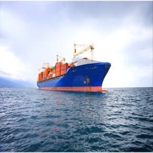 China International DDU DDP Sea Freight Forwarding From China To Denmark wholesale