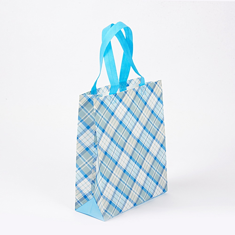 Hot Selling Fashionable Eco Friendly Reusable Non-Woven Shopping Bags