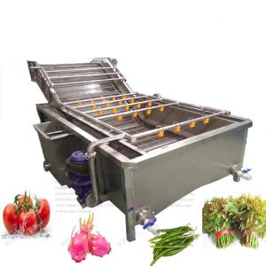 China 300kg/H Fruit Drying Grading Vegetable Washing Machine wholesale