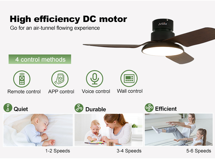 Metal Material Ceiling Fan with Low Noise DC Motor and Air Conditioning LED Lighting