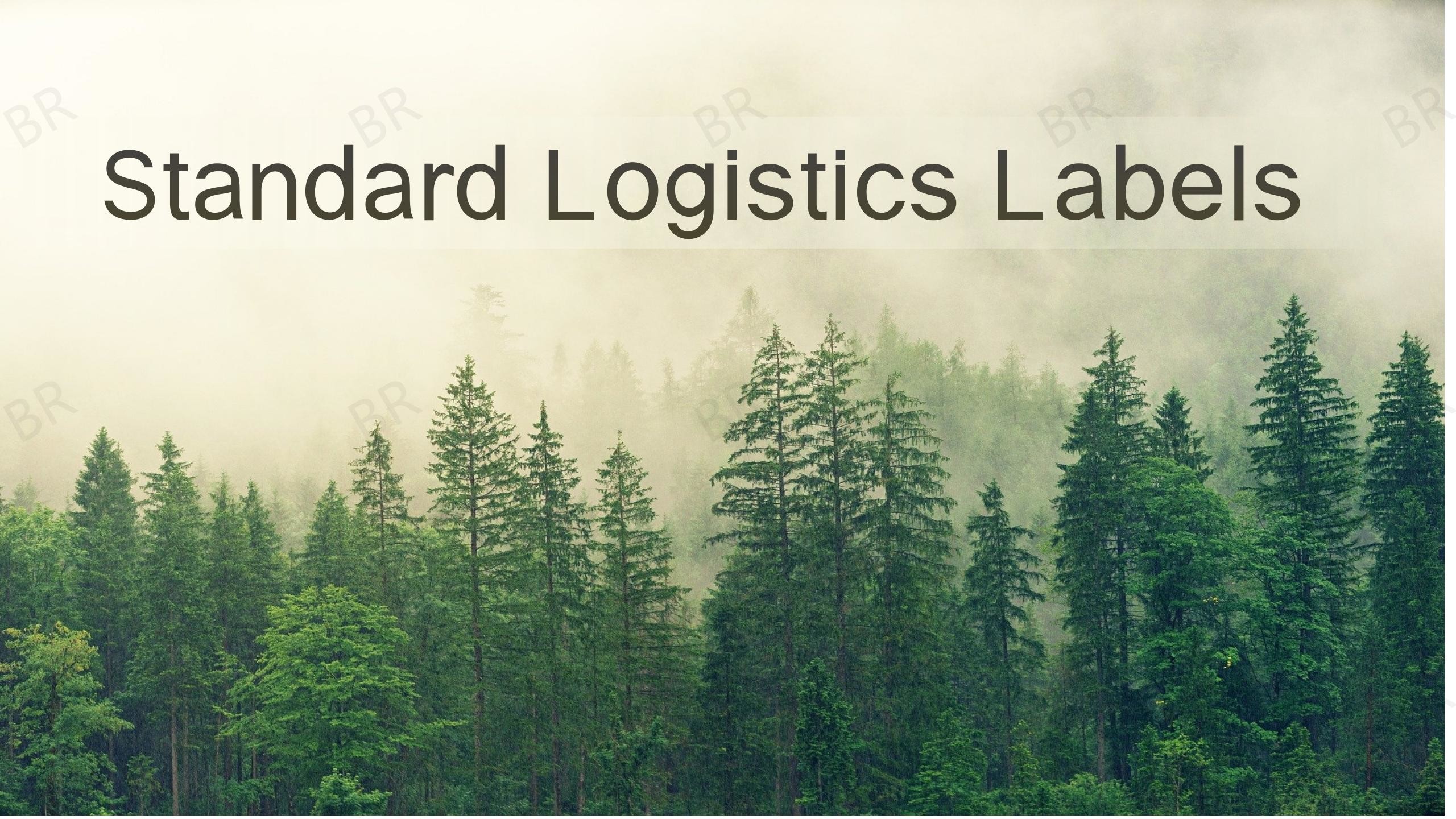 Efficient 4x6 Thermal Label Printer for Shipping