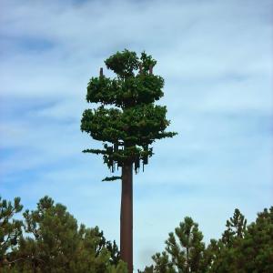 China Camouflaged Pole Palm / Pine Micro Fake Cell Tower Trees 10 20 30 40 50 60 70 80 M wholesale