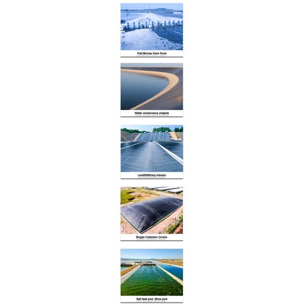 Wastewater Treatment Plant ASTM HDPE Geomembrane 100Mil Waterproof Membrana Pond Liner