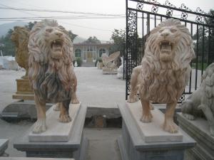 China BSCI Life Size Driveway Marble Statue Of A Lion wholesale