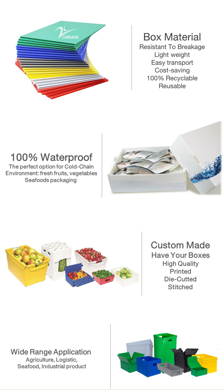 OEM Broccoli Fruit Corrugated Boxes Corrugated Plastic Delivery Box
