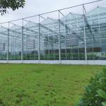 Heating System Serra Di Vetro Multi-Span Greenhouse Venlo Greenhouse Spare Parts