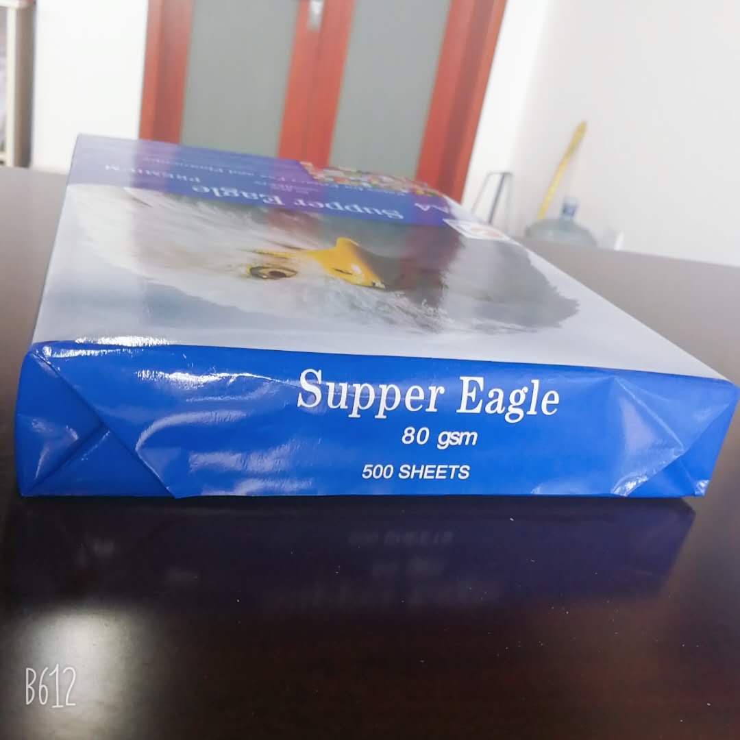 Versatile 70g Copy Paper Jumbo Roll for All Printing Requirements