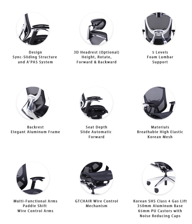 IFIT Black Ergonomic Desk Chair With Lumbar Support Adjustable Tilting Mesh Swivel