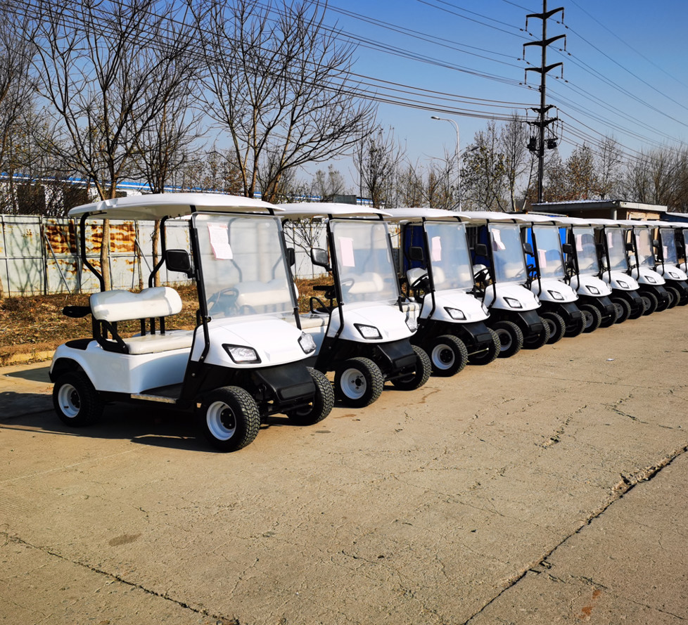 Off-road 2 Seater Golf Buggy Rechargeable Good Quality Golf Sightseeing Car