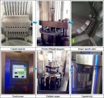 Electrical Gelatin Capsule Filling Machine Capacity 72000 capsules per hour