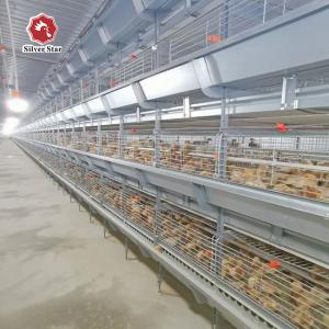 China 85*62.5*50 Cm Size Broiler Chicken Cage H Type wholesale