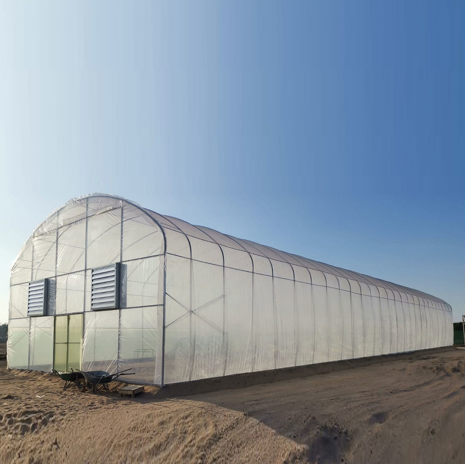 Single Span Commercial Polytunnel Plastic Film Greenhouse Farming