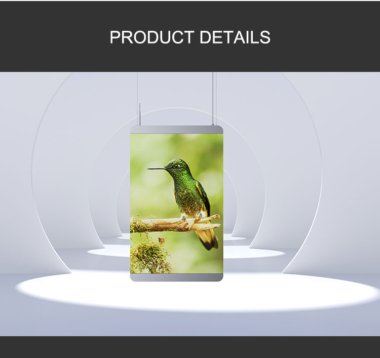 Outdoor Restaurant Menu LED Display Poster With High Resolution 640*960mm