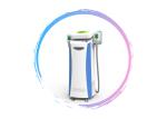 2019 professional cryo weight loss vertical cryolipolysis fat freezing machine