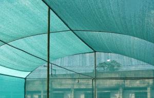China Dark Green Greenhouse Shade Netting wholesale