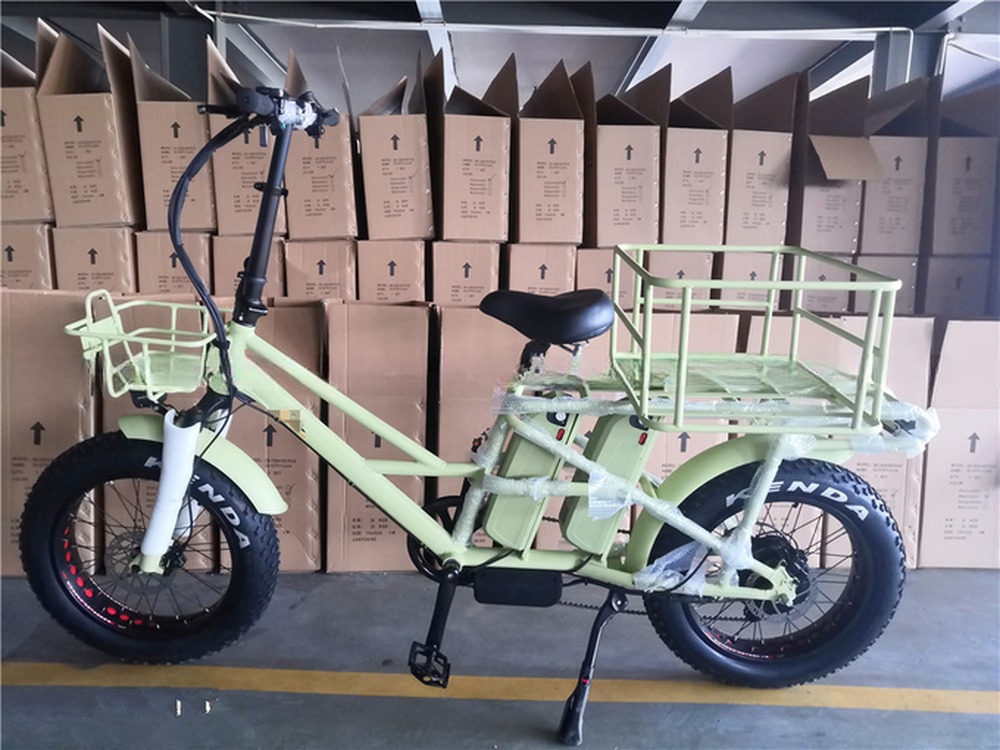 48V Electric Dual Motor 1000 Watt Long Range Fat Tire Cargo E-Bike with Fast Charging