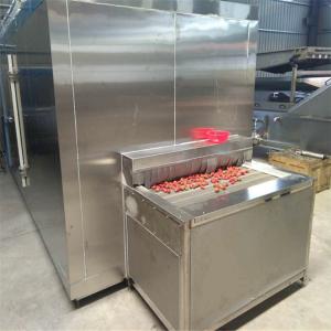 China 100kg/Hour Food Freezing Machine wholesale