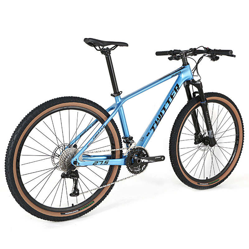 Carbon Fiber Mtb Bicycle 24S 36speed XC Riding for men