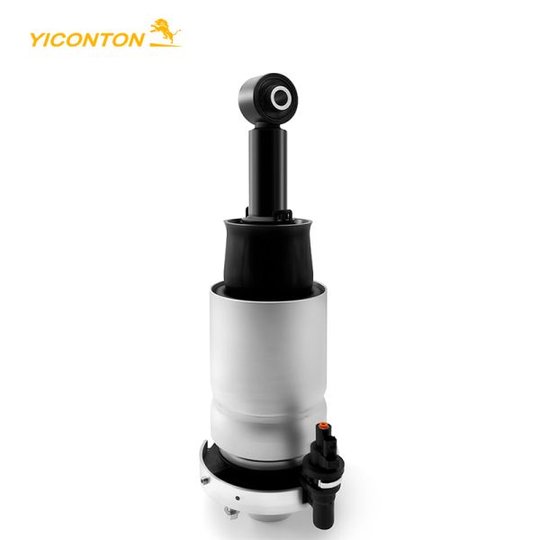 8L1Z5A891B Vigor Air Suspension Strut Rear Right For Ford Expedition 2007-2012