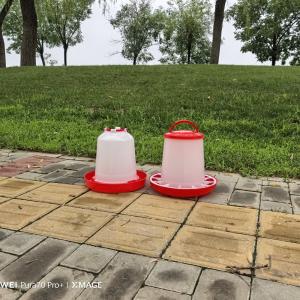 China Cylinder Poultry Feeder For Chickens Ducks Geese Turkeys wholesale