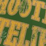 Vintage Needle Detection Mens Football T-Shirt Tops Logo Design Soccer Clothing