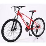 29 Inch carbon steel Bicycle Mountain Bike Adult Customized Rim Material