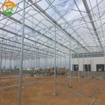 Large Polycarbonate Greenhouse for Vegetable and Flower Cultivation
