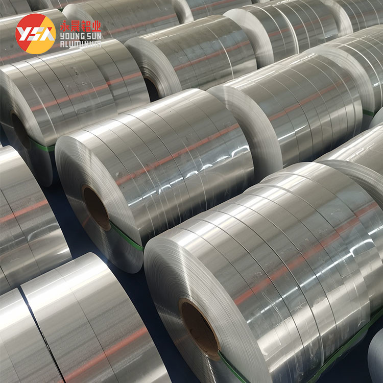 0.1mm - 6.0mm Alloy Aluminum Strip Coil 1050 1100 3003 3005 5052 6061