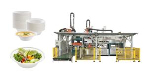 China Pulp Molding Disposable Dinner Packaging Machine wholesale