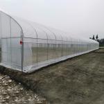 Wind Resistant UV Net House Greenhouse Environmental Controller Multi-span