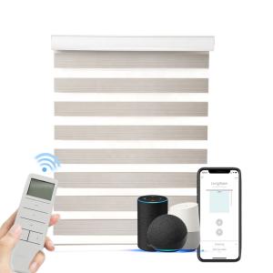 China Tuya Remote Control Window Blinds 10cm on sale