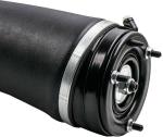 RNB500540 Air Suspension Parts Air Suspension Strut