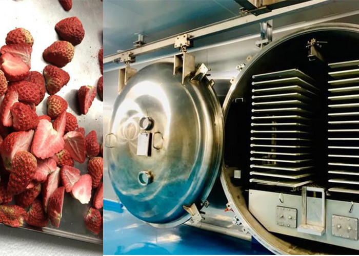 Large Food Freeze Machine Fruits Vegetables Meat