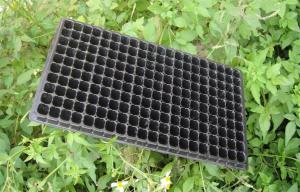 China Seed Grow Plastic Germination Trays Garden Vegetable Hydroponic Trays wholesale