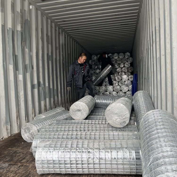 10 gauge Galvanized Iron Wire Mesh For Animal Enclosures 2m - 50m