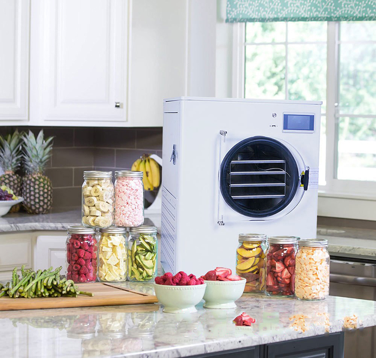 Brand New Multi-Function Food Factory Drying Turnip Large Freeze Dryer