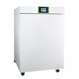 China CO2 Illumination Cell Culture Laboratory Incubators Stainless Steel PID Controller on sale