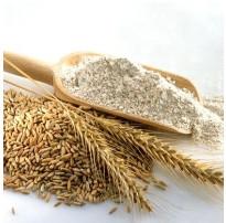 China GG Flour Mesh - PET-GG Series Flour Mesh wholesale