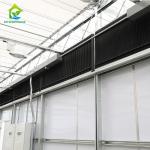 PE Film 220V Auto Light Dep Greenhouse 100% Blackout High Tunnel Greenhouse