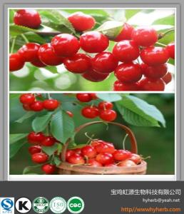 China Chinese cherry fruit extract powder wholesale