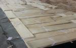 natural sliced cut China maple wood veneer for furniture