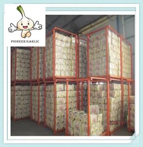 China Jining fresh Natural Garlic ( Natural) Garlic supplier Mesh Bag Package wholesale
