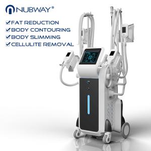 China professional vertical 4 handles Cryolipolysis fat reduction double chin treatment beauty equipment with best effective wholesale