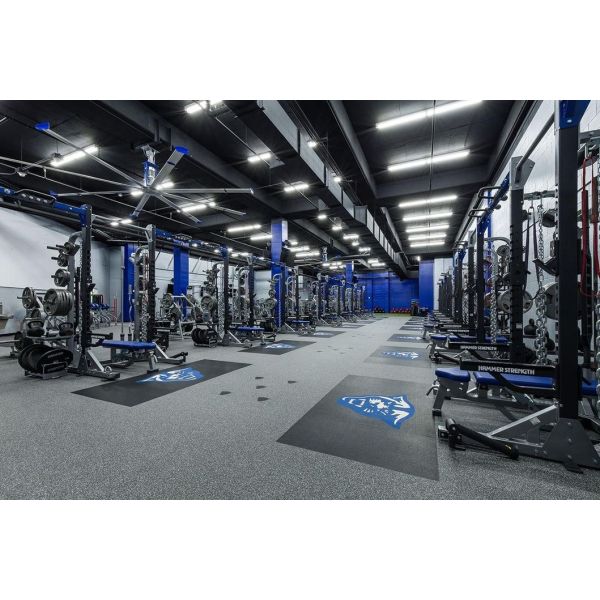 Blue Rubber Floor Rolls 500x500mm 1000x1000mm Black Rubber Mat Roll