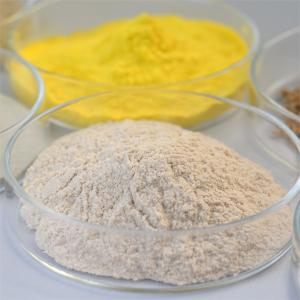 China Thermostable Alkaline Protease Bioenergy Enzyme Hydrolyze Peptides Industrial Enzyme wholesale