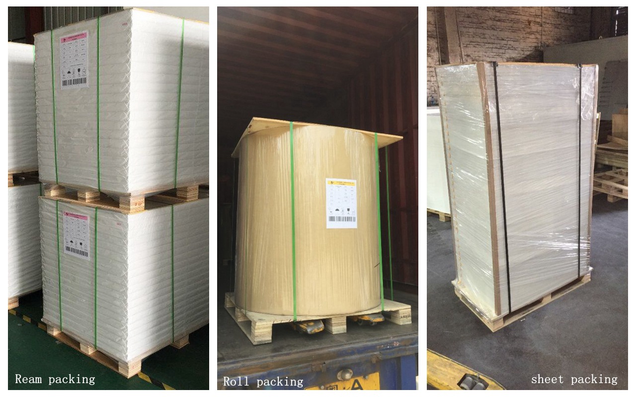 440gsm Paper PE coated craft paper single Side for food packing