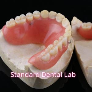 China High Esthetic Acrylic Partial Denture Dental Resin Dentures With Base wholesale