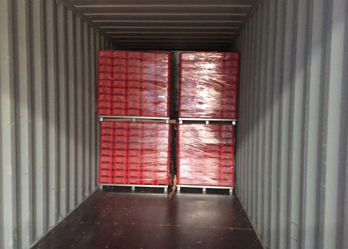 Door Stainless Steel Wire Mesh Sheets , Black 1x1 14 Gauge Wire Mesh